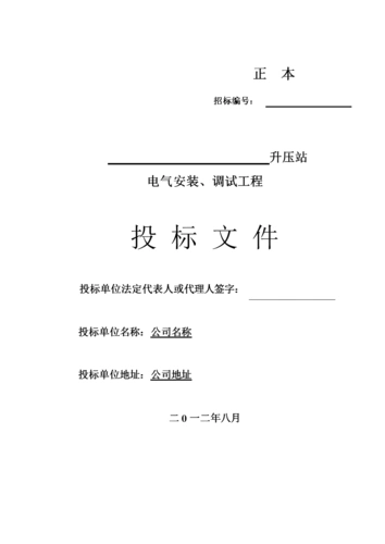 各种标书封皮.doc