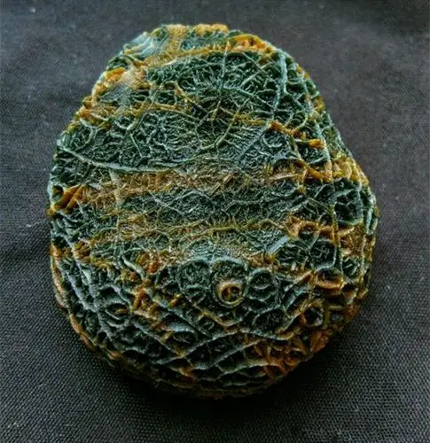 男子戈壁探险发现一"罕见奇石",仔细一看,两眼发傻了