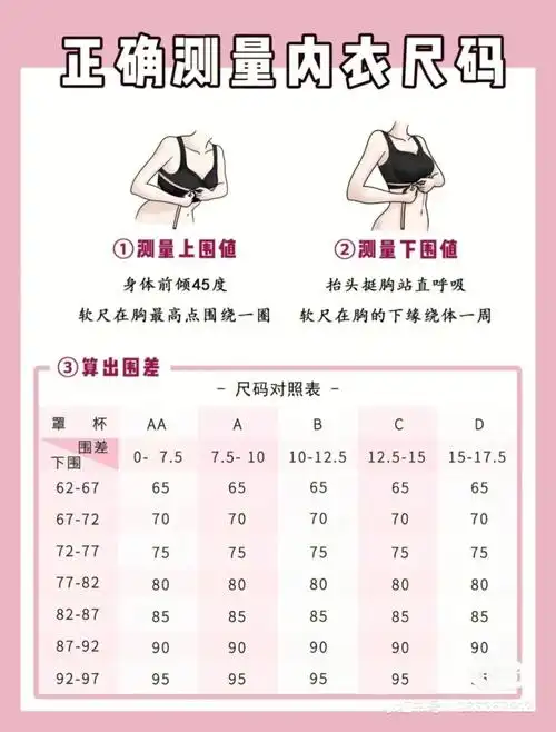 关于胸围尺码表