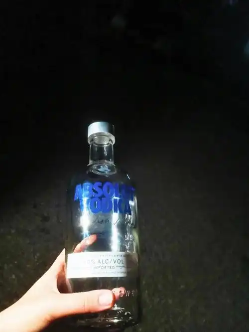 绝对伏特加750ml空瓶兑什么好喝