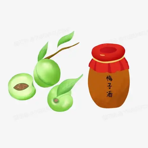 简约手绘青梅酒创意插画元素