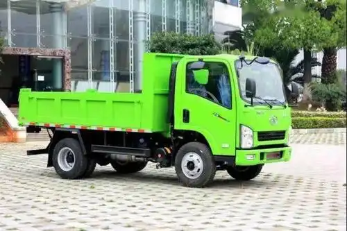 替换农用车台州牟女士选择解放经典自卸车