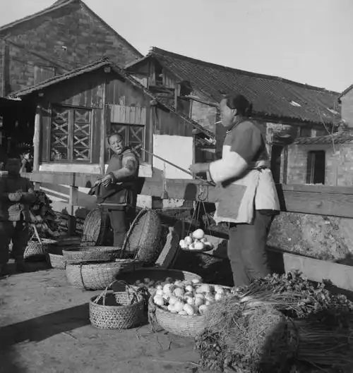 原创老照片:40年代的原始耕种方式