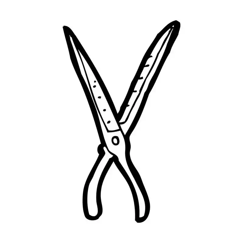 剪贴画,矢量,在白色背景上的卡通剪刀