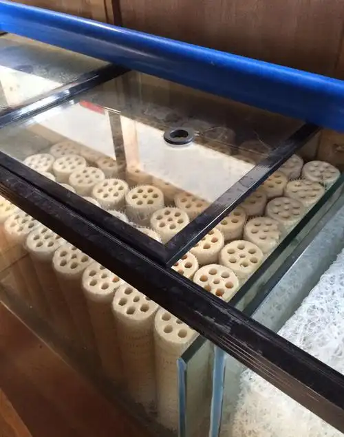 鱼缸到了,底滤原来是3格的,求住3格的怎么放