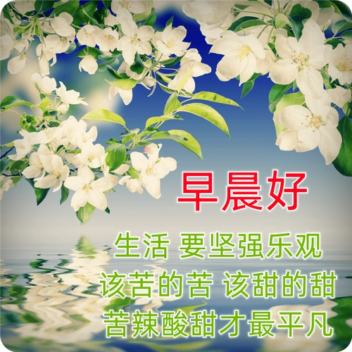9张清新漂亮早上好图片带祝福语 漂亮的聊天问候祝福图片大全_人生