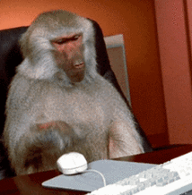 猴子电脑鼠标点击gif动图_动态图_表情包下载_soogif