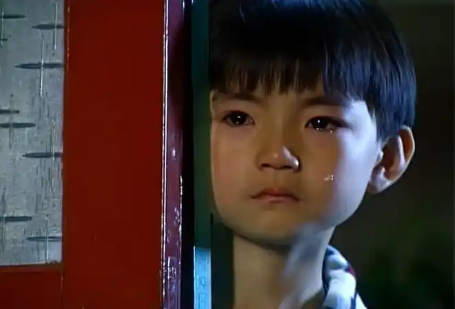 手段凶残海豚湾恋人童星逞凶夺一命法官重判15年