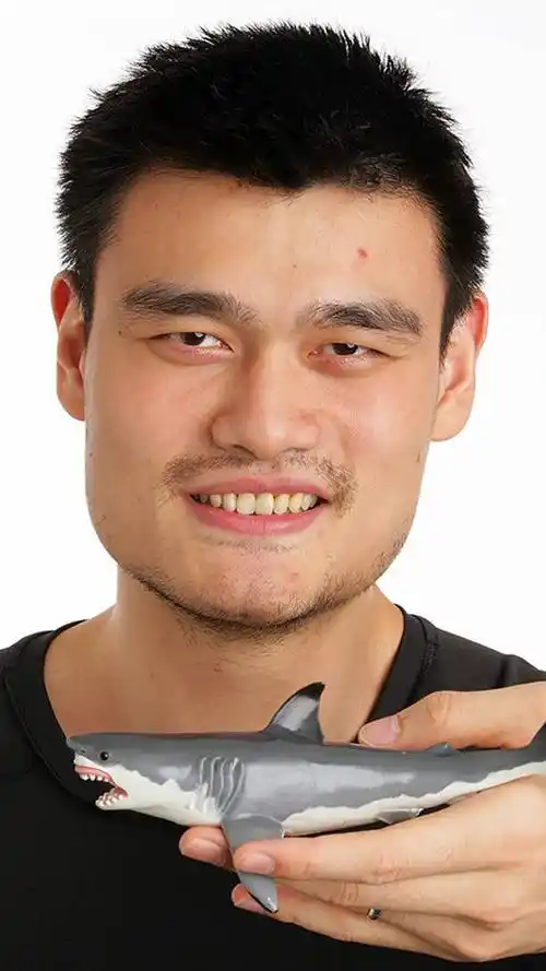 经典姚明图片汇集