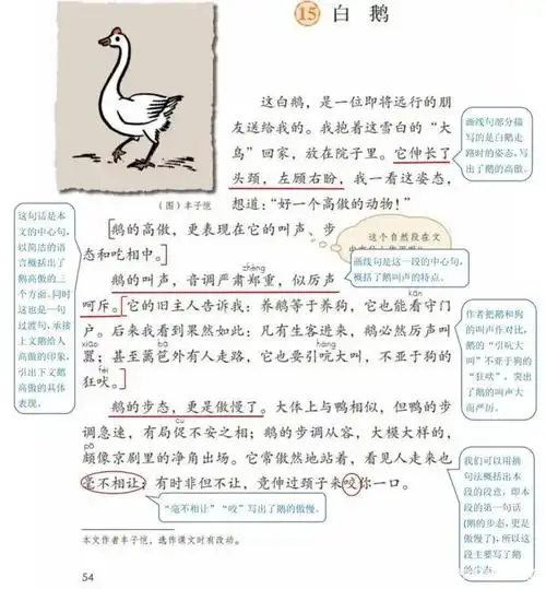 小学语文部编版四年级(下)课堂笔记第15课《白鹅》