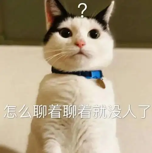 沙雕表情包|不想努力了