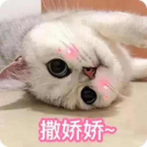 有没有那种可爱且撩人的表情包? - 知乎