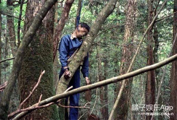 深夜毒物随处可见吊死鬼揭秘日本自杀森林