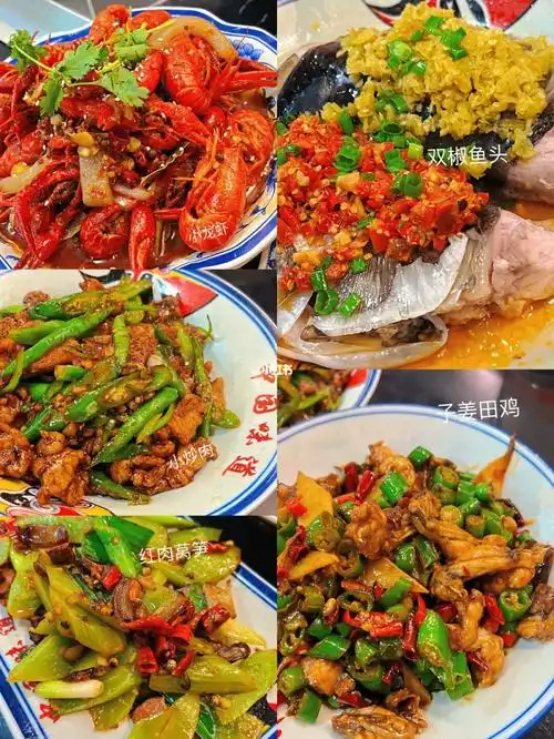 9396一家两道菜值得我再去的川菜店|川聚缘