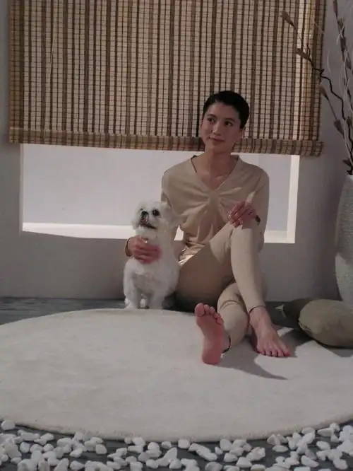 袁咏仪拍内衣广告玲珑浮凸 七位数字酬金得开心