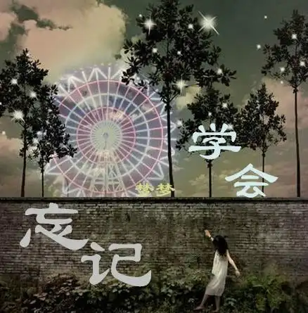 那样越想忘记就越忘不了 把自己的时间安排好,不要留时间去想起那个人