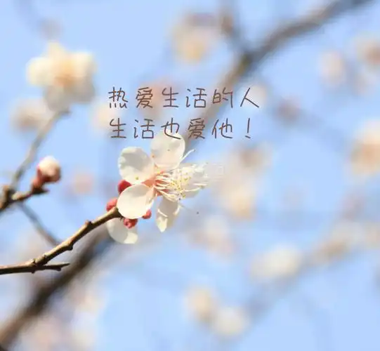 风景唯美朋友圈封面图