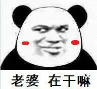 老婆在干嘛表情包 - 日常表情包