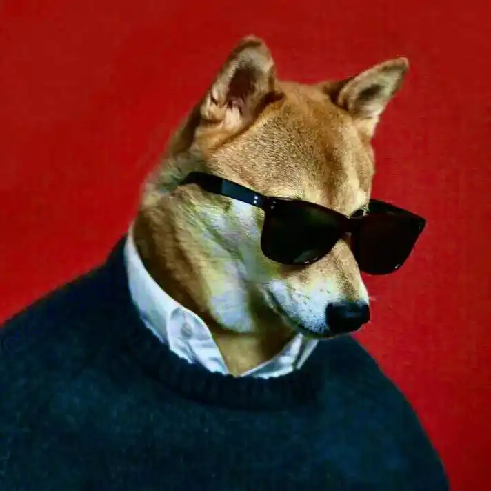 头像 #憨狗 #治愈 #萌宠 #狗狗 #大佬头像 - 抖音