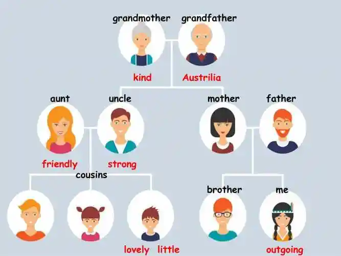 mycousinandi_第2页