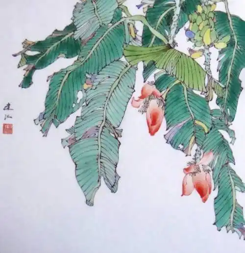 草木言情丨隔窗知夜雨 芭蕉先有声