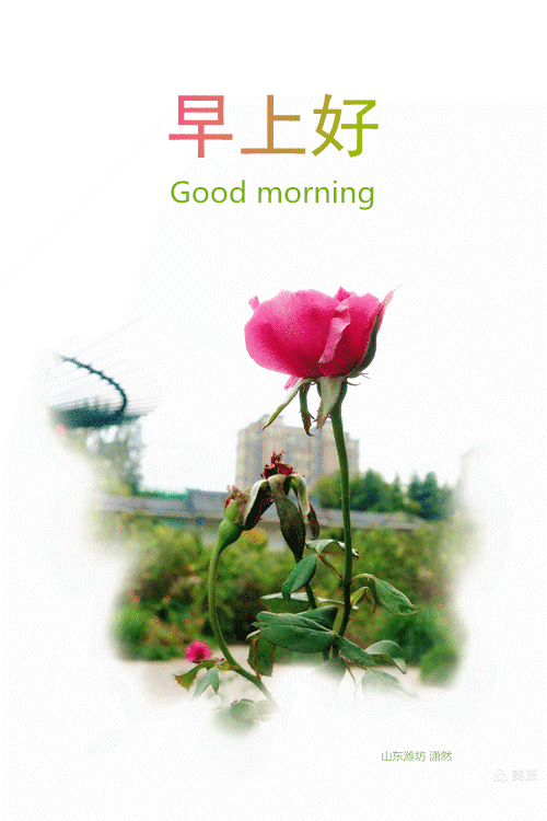 2018年9月1--10日早安问候图片集锦