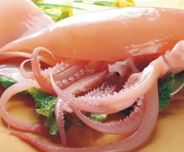 水发鱿鱼(肉质新鲜,无异味)