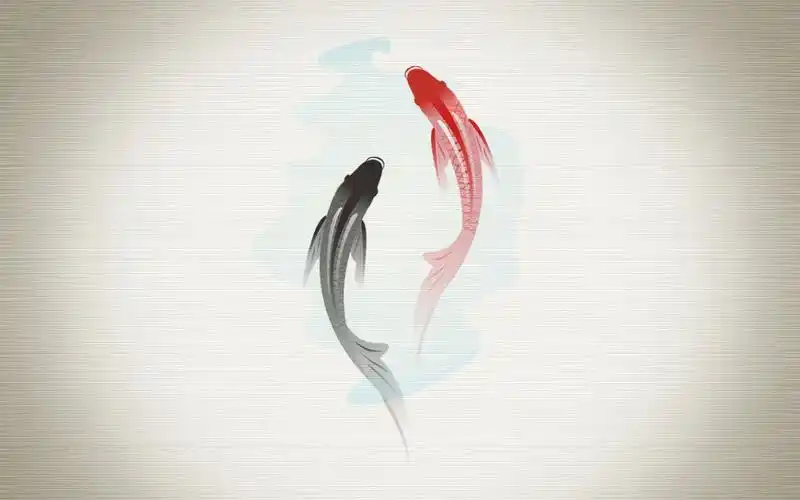 有哪些百看不厌的锦鲤壁纸