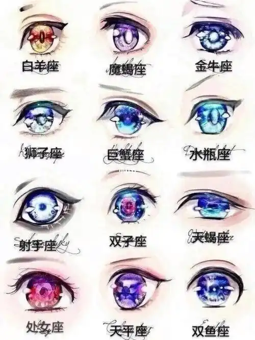 12星座的眼睛漂亮不