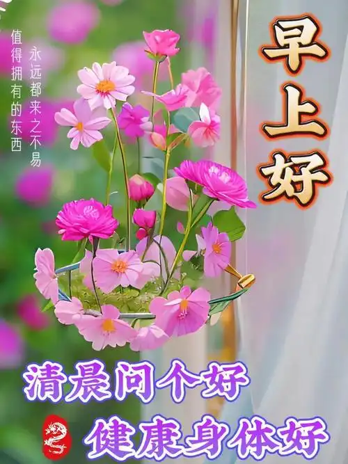 1月13日最新早安漂亮图片温馨问候祝福语|快乐|幸福|早上好|好心情