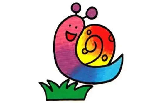 动物与植物简笔画彩色