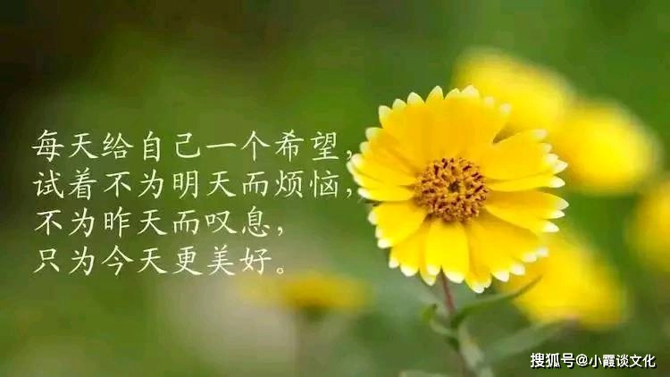 有深度的人生哲理短句,精辟走心,句句耐人寻味