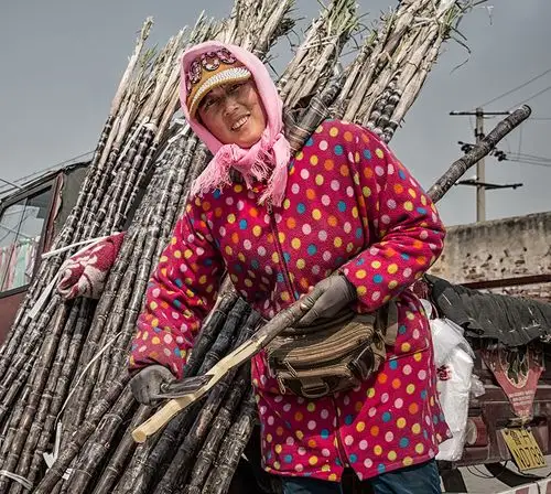 ctps.cn-- 甘蔗女 手艺人