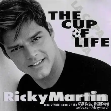 瑞奇(其他人物相关)瑞奇·马丁(rickymartin)凭借着"全心奉献","辛勤