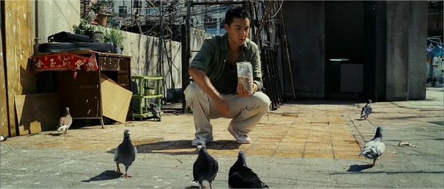 2007年门徒张静初和老鼠亲密接触贡献了教科书式演技