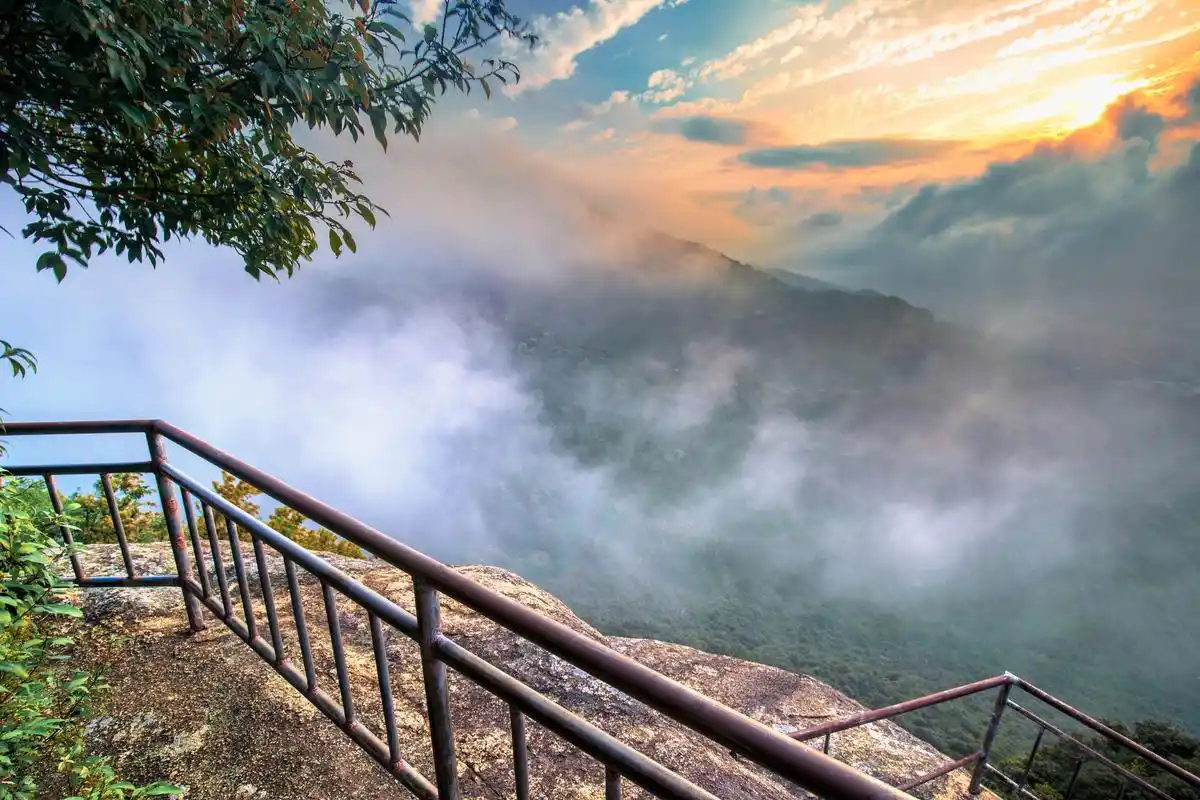 p>园山风景区属 a target="_blank" href="/item/梧桐山/538025"