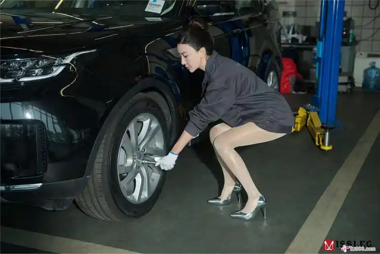 赵智妍《修车体验》(上)