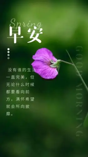 早安问候真正的努力从来不需要表演早安