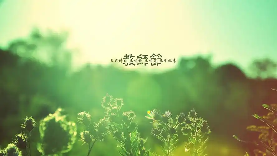 赞美老师的图片带文字,高清图片,壁纸,节日-桌面城市