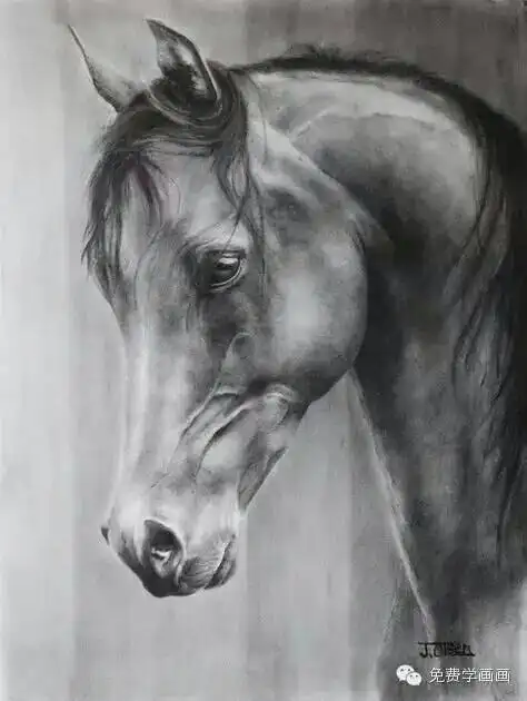 奔腾的马儿是今天免费学画画的内容,同学们:今天教大家画马,多种教程