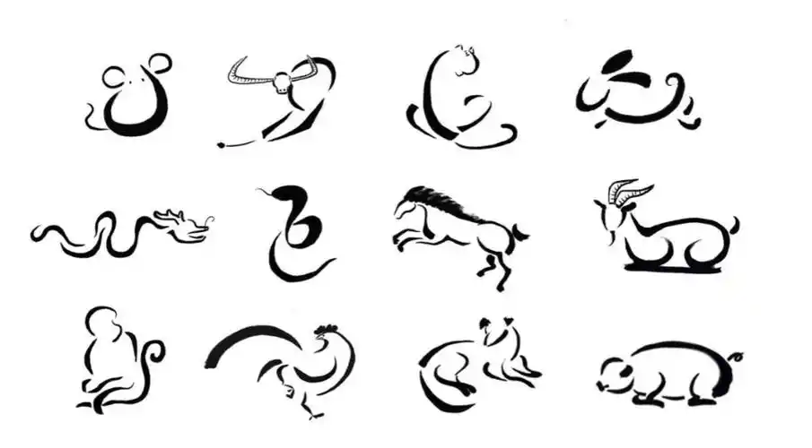 五爪金龙,龙人,像龙的都有_生物_证据_动物界