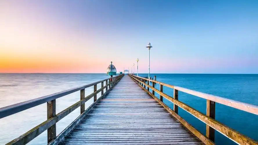 狗粘人的经典句子