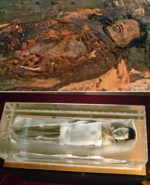 首页 社会新闻  长沙马王堆汉墓主人辛追夫人(上图为出土时,下图为在