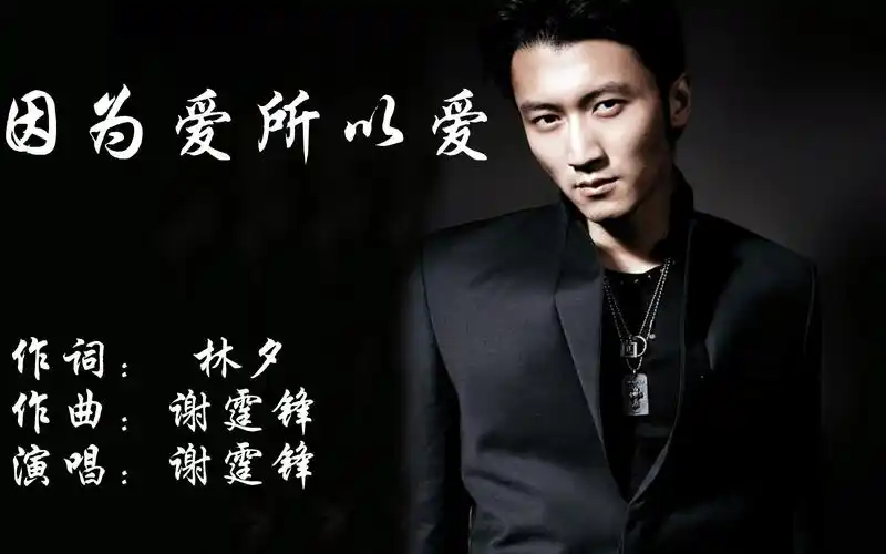 谢霆锋《因为爱所以爱》歌手中厨艺最好,厨师中唱歌最好听!