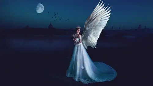 美丽的天使女孩,翅膀,夜晚,月亮 iphone 壁纸