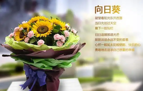 向日葵花束-植物网