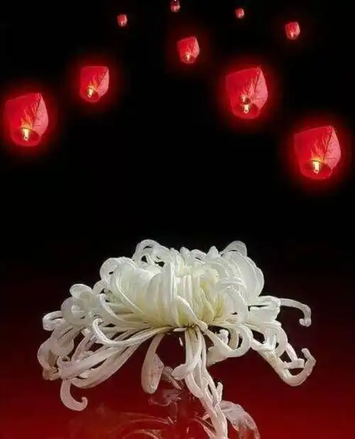 怀念母亲 一一 纪念母亲九十岁诞辰