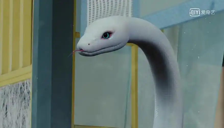 最美白蛇了解一下