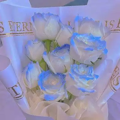 蓝玫瑰背景图.浪漫至死不渝_唯美图片_我要个性网