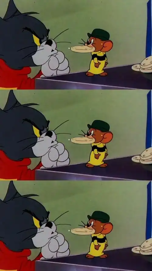 猫和老鼠汤姆可是全球抓鼠冠军猫和老鼠